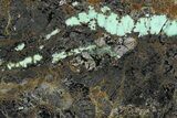 Polished Turquoise in Matrix Slab - Nevada #371565-1